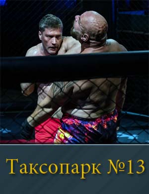 Смотрите Таксопарк №13