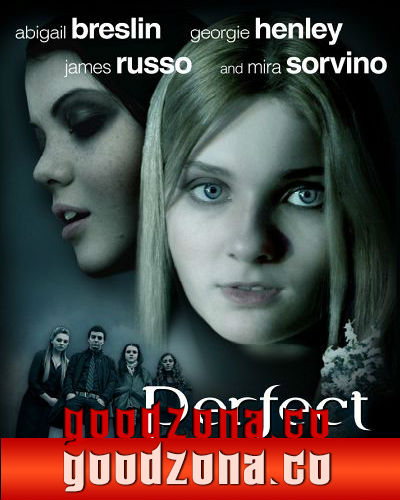 Школьный проект (2013)